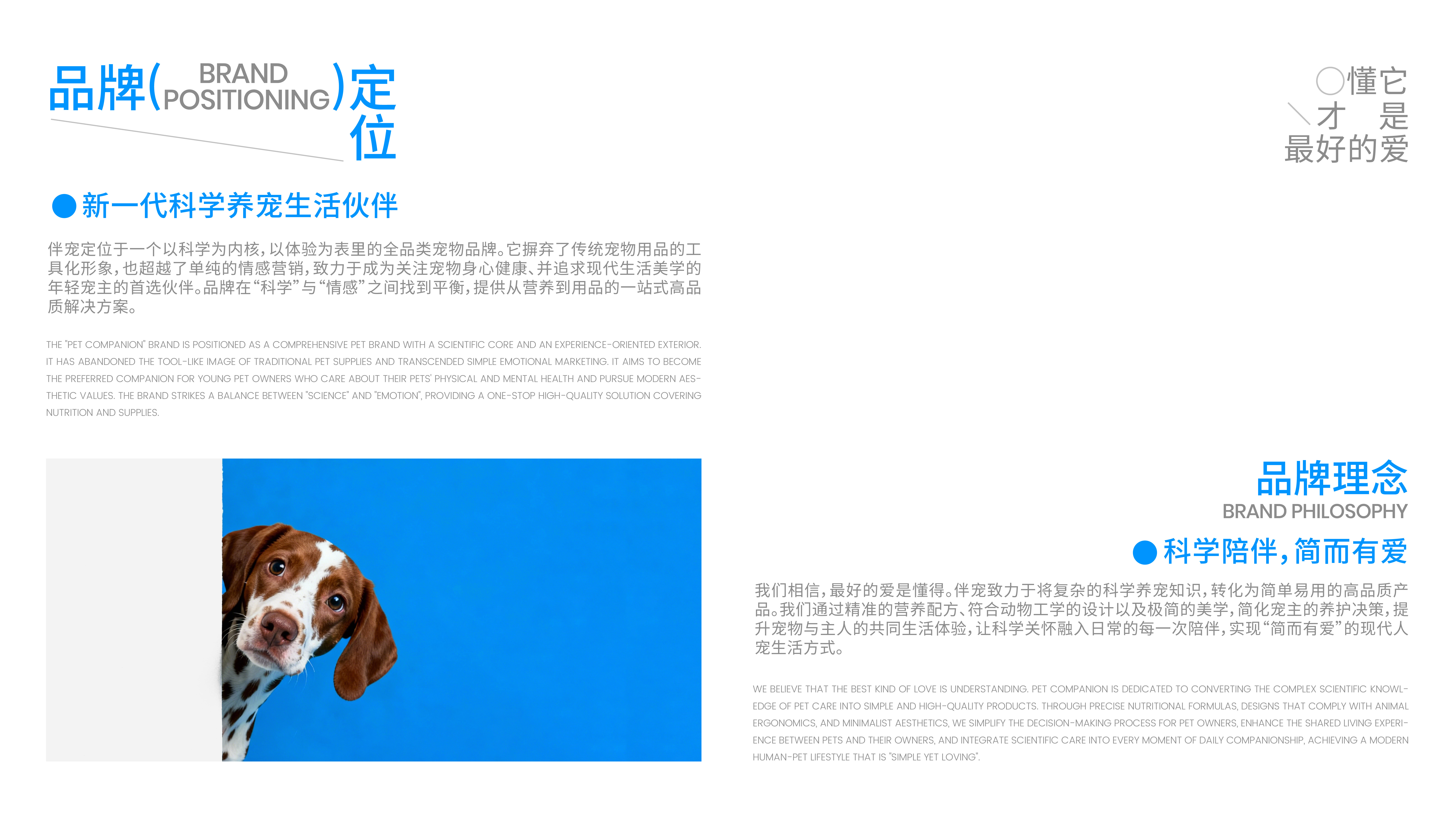 伴宠品牌全案项目页面 8